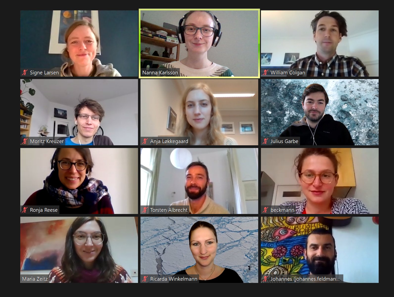 Online workshop with working group from GEUS Online workshop with working group from GEUS
