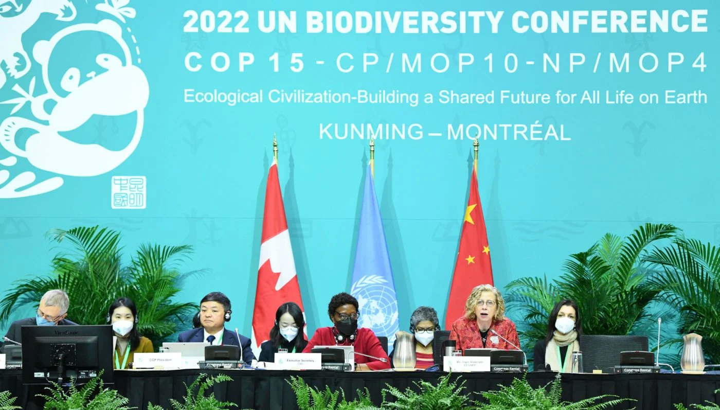 COP15 Recommendations COP15 Recommendations