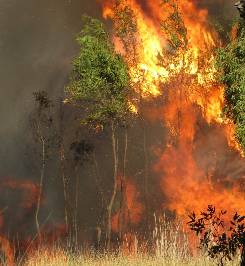 Amazon in the firetrap: Deforestation and warming lock rainforest in dry and damaged grassland state