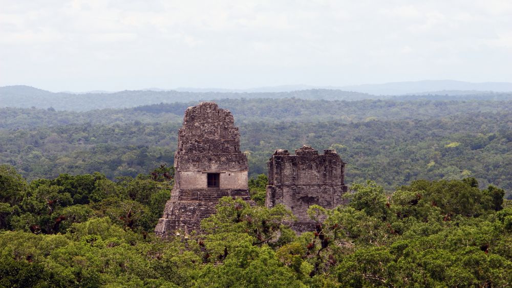 Rise and fall of the Maya in response to climate change