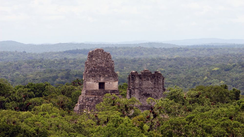 Rise and fall of the Maya in response to climate change Rise and fall of the Maya in response to climate change