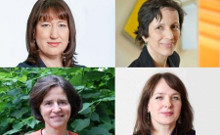 New faces in Board of Trustees and Scientific Advisory Board