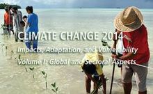 „The risk is clear and present“: IPCC report on climate impacts