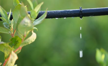 Better water management could halve the global food gap