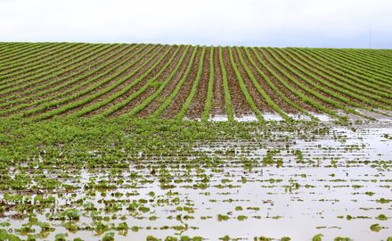 Climate change impacts across sectors: frontier science workshop