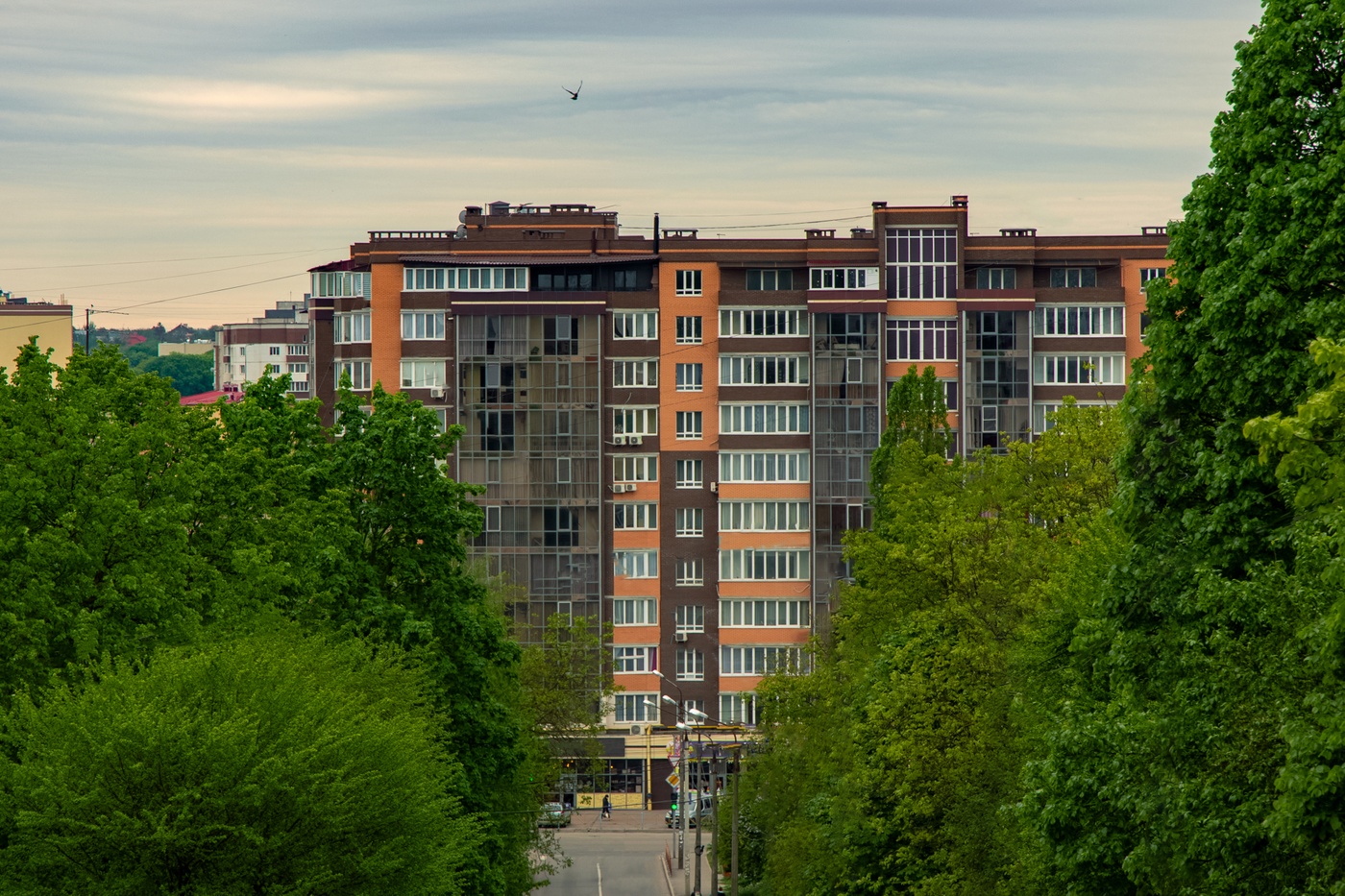 European cities plan to compensate for a fifth of their emissions through carbon removal, few have thought through how