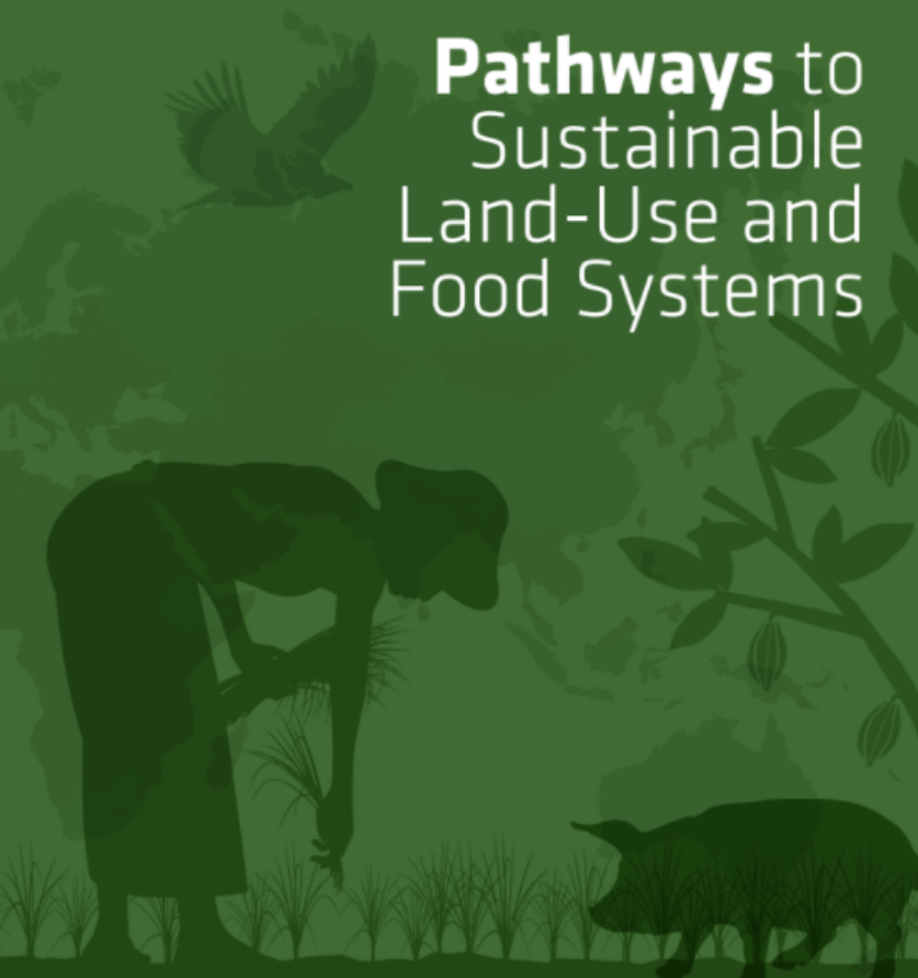 FABLE Report 2020: Pathways to sustainable land-use and food systems
