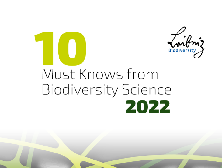 Forests, Food, Pandemics and the Extinction of Species: Research network publishes "10 Must Knows" on biodiversity Forests, Food, Pandemics and the Extinction of Species: Research network publishes "10 Must Knows" on biodiversity