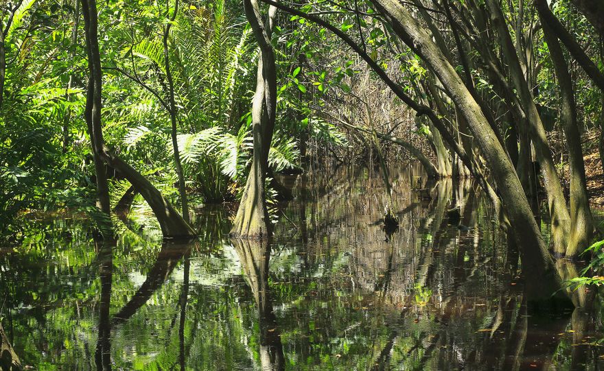 From forests to peatlands: once lost, ecosystem carbon stores might not be recoverable in time