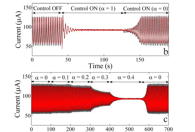 From power grids to heartbeat: Using mathematics to restore rhythm From power grids to heartbeat: Using mathematics to restore rhythm