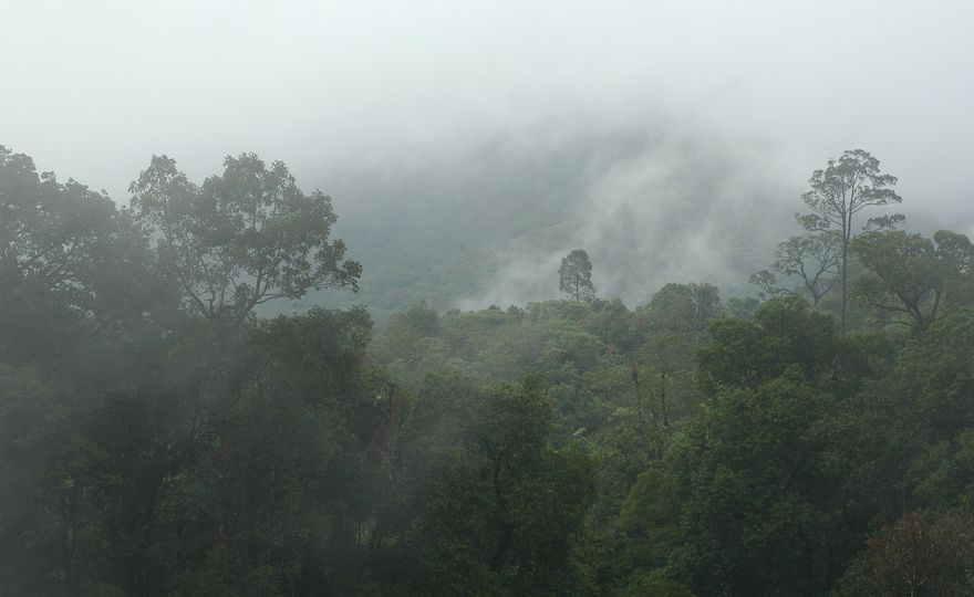 Giant see-saw of monsoon rains detected