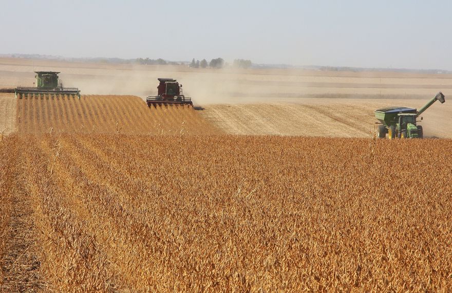 Harvests in the US to suffer from climate change