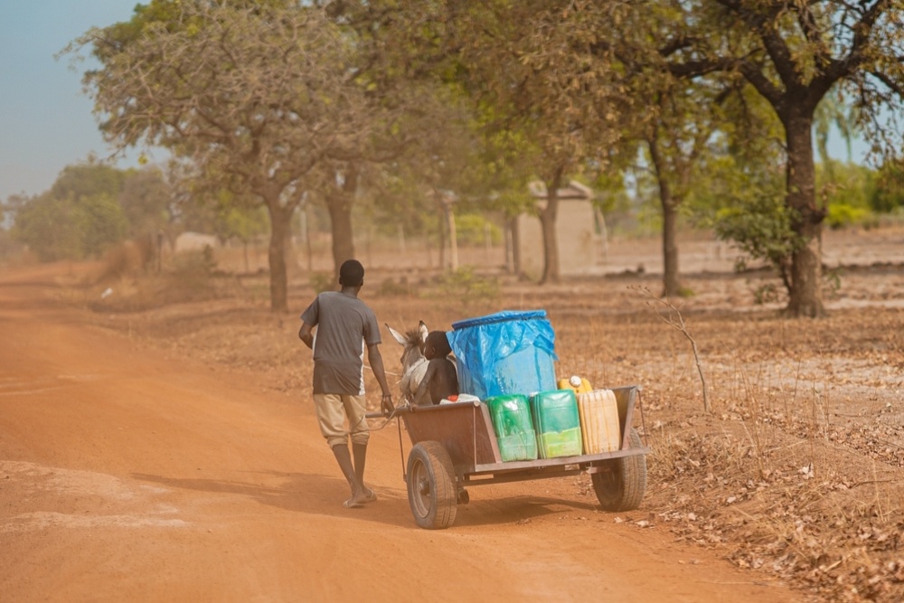 How measures to protect the environment and reduce the rich–poor divide interact