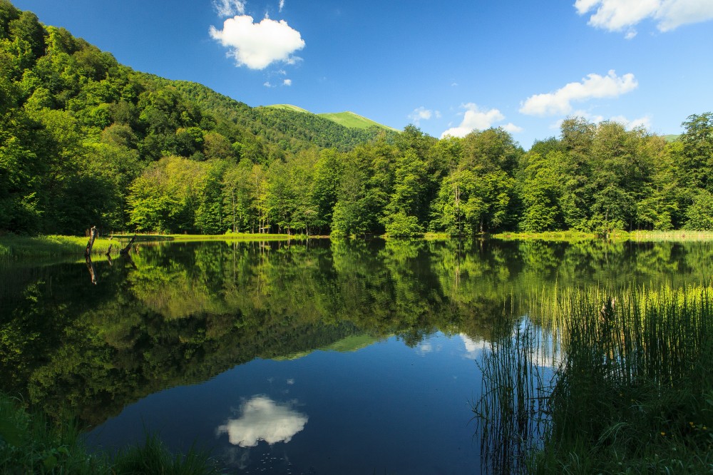 Earth’s freshwater cycle out of stable state Earth’s freshwater cycle out of stable state
