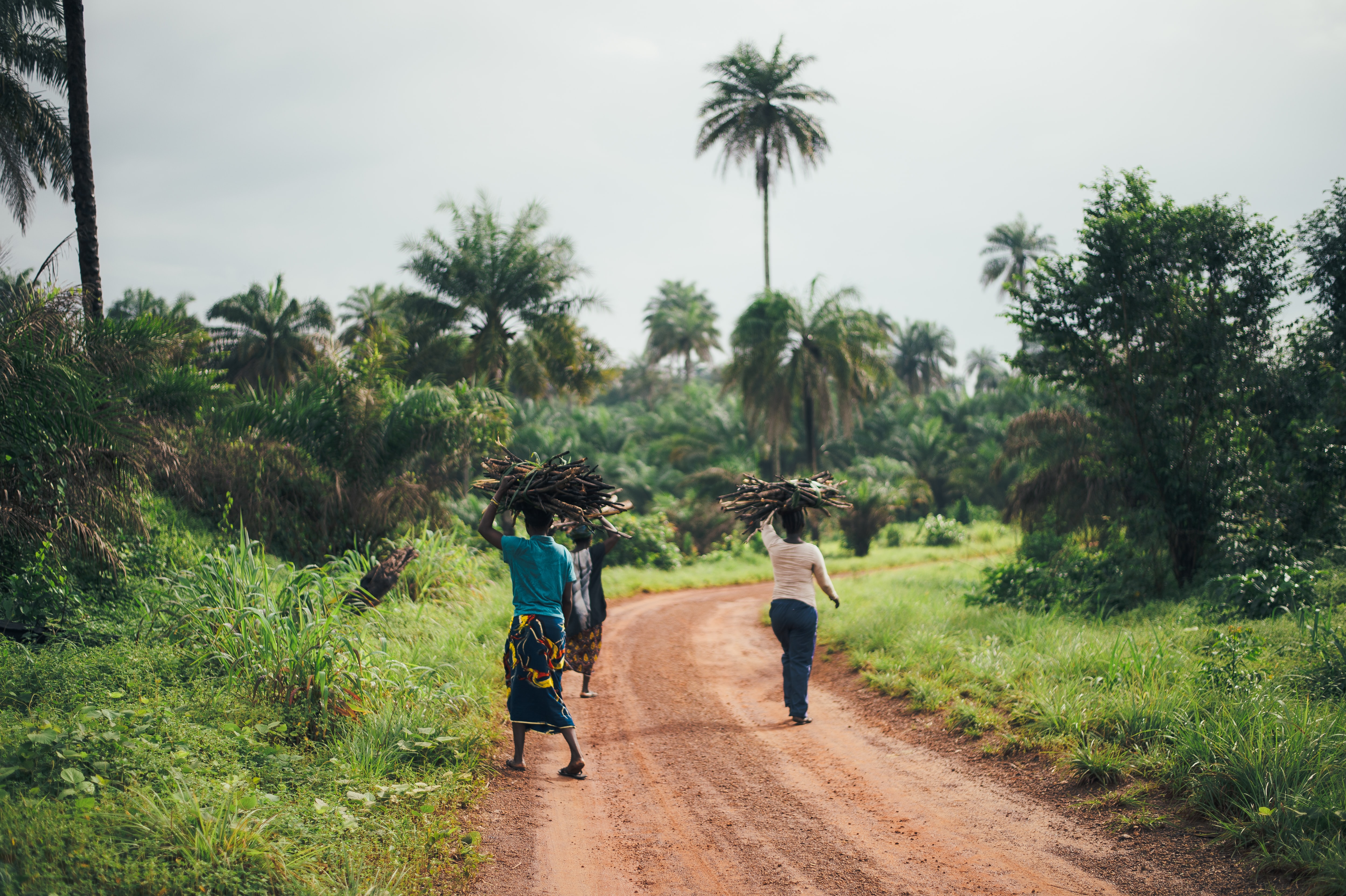 Improving the evidence: PIK scientists review quantitative climate migration literature