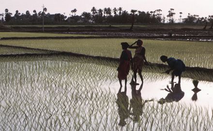 Indian monsoon: novel approach allows early forecasting