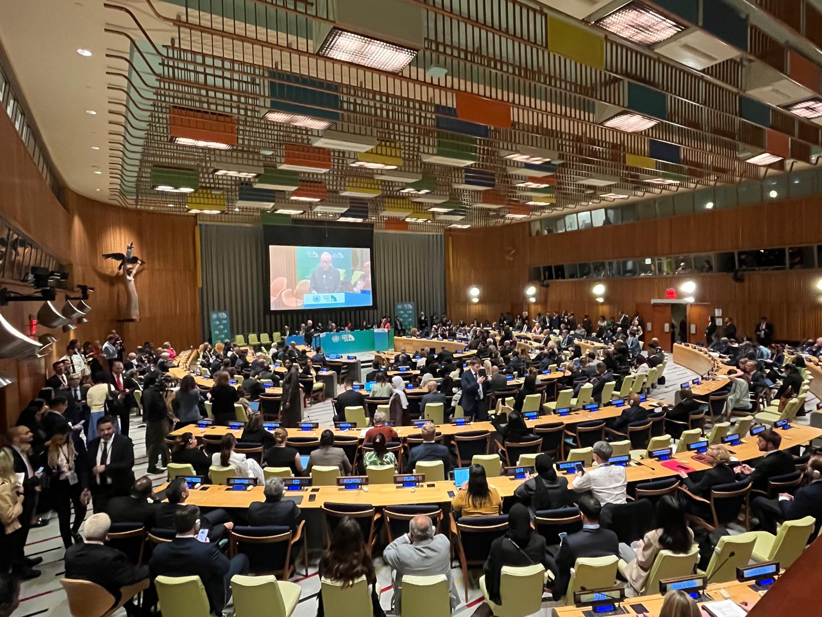 Johan Rockström addresses heads of state during United Nations General Assembly: “failure is not inevitable, it is a choice”