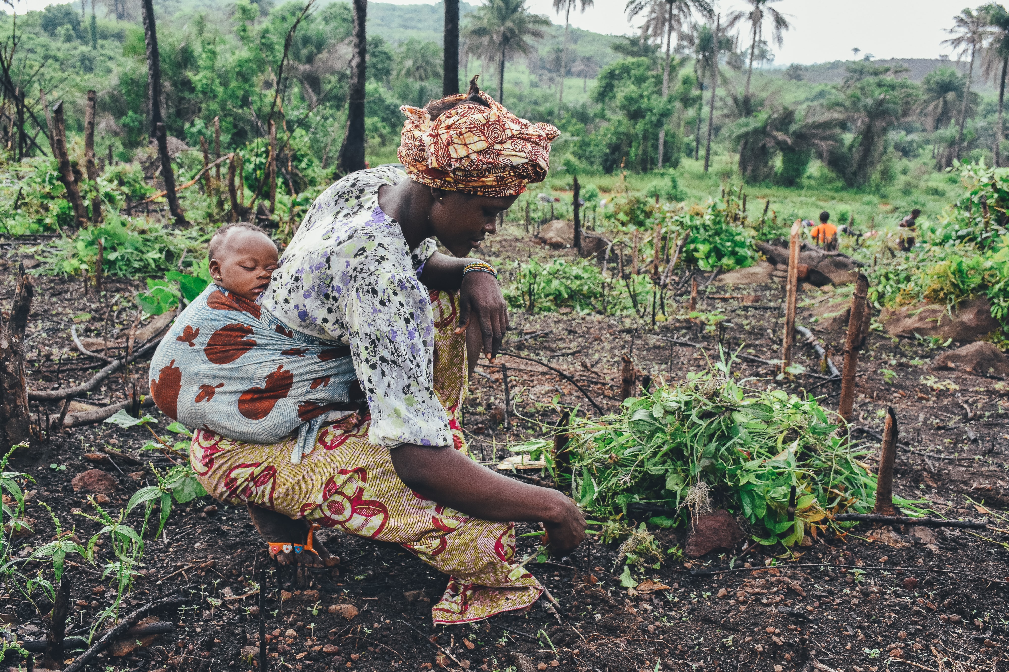 Less trade-offs, more synergies: New pathway to mitigate climate change and boost progress on UN Sustainable Development Goals