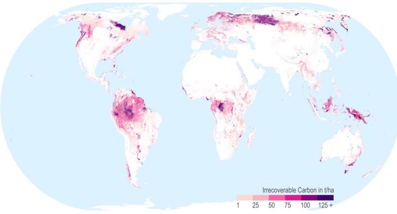 New study: World map of the most important protected areas to avert a climate catastrophe