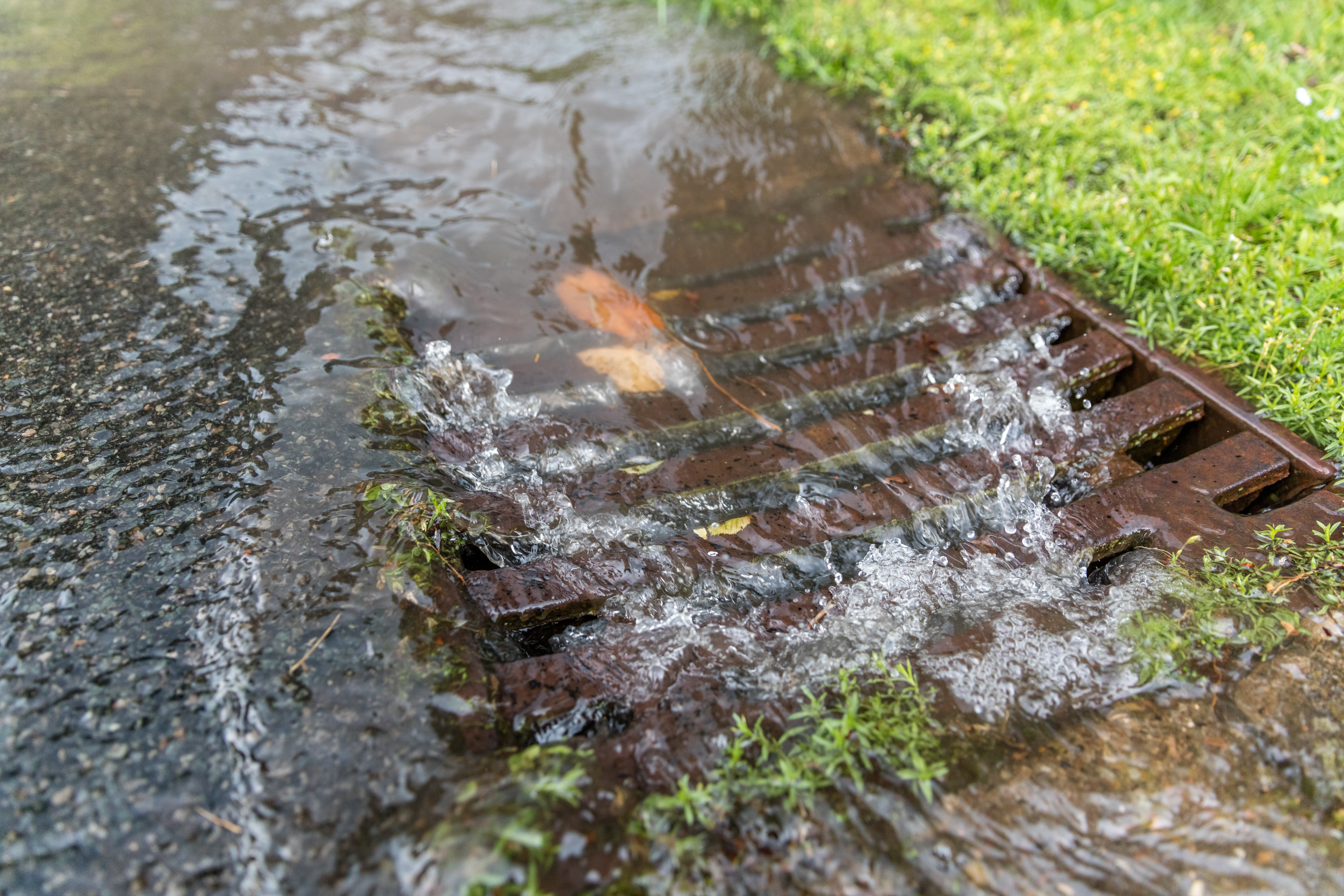 Record-wet and record-dry months increased in regions worldwide: climate change drives rainfall extremes Record-wet and record-dry months increased in regions worldwide: climate change drives rainfall extremes