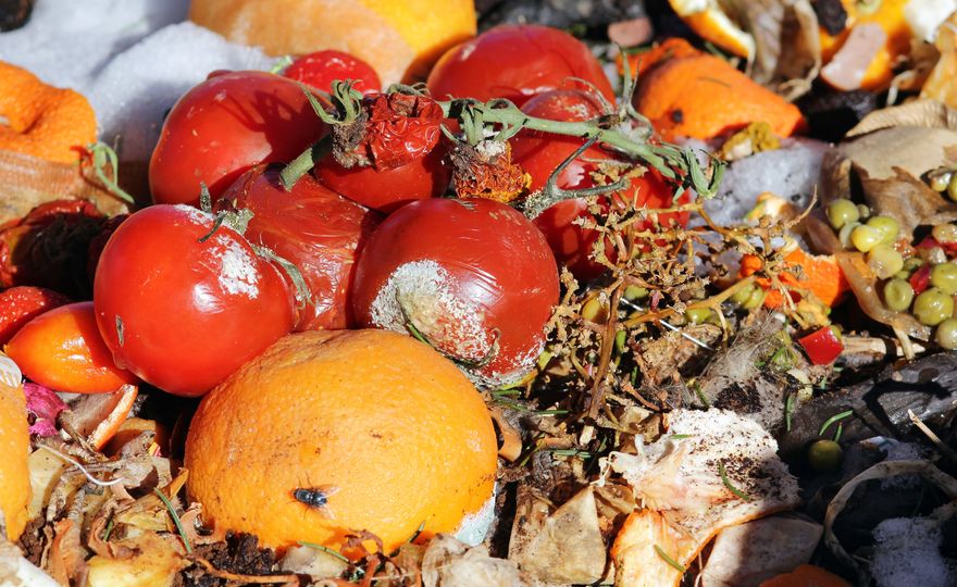 Reducing food waste could help mitigate climate change