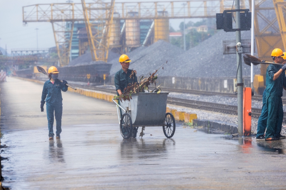 Science made simple: book dispels five misconceptions about carbon pricing