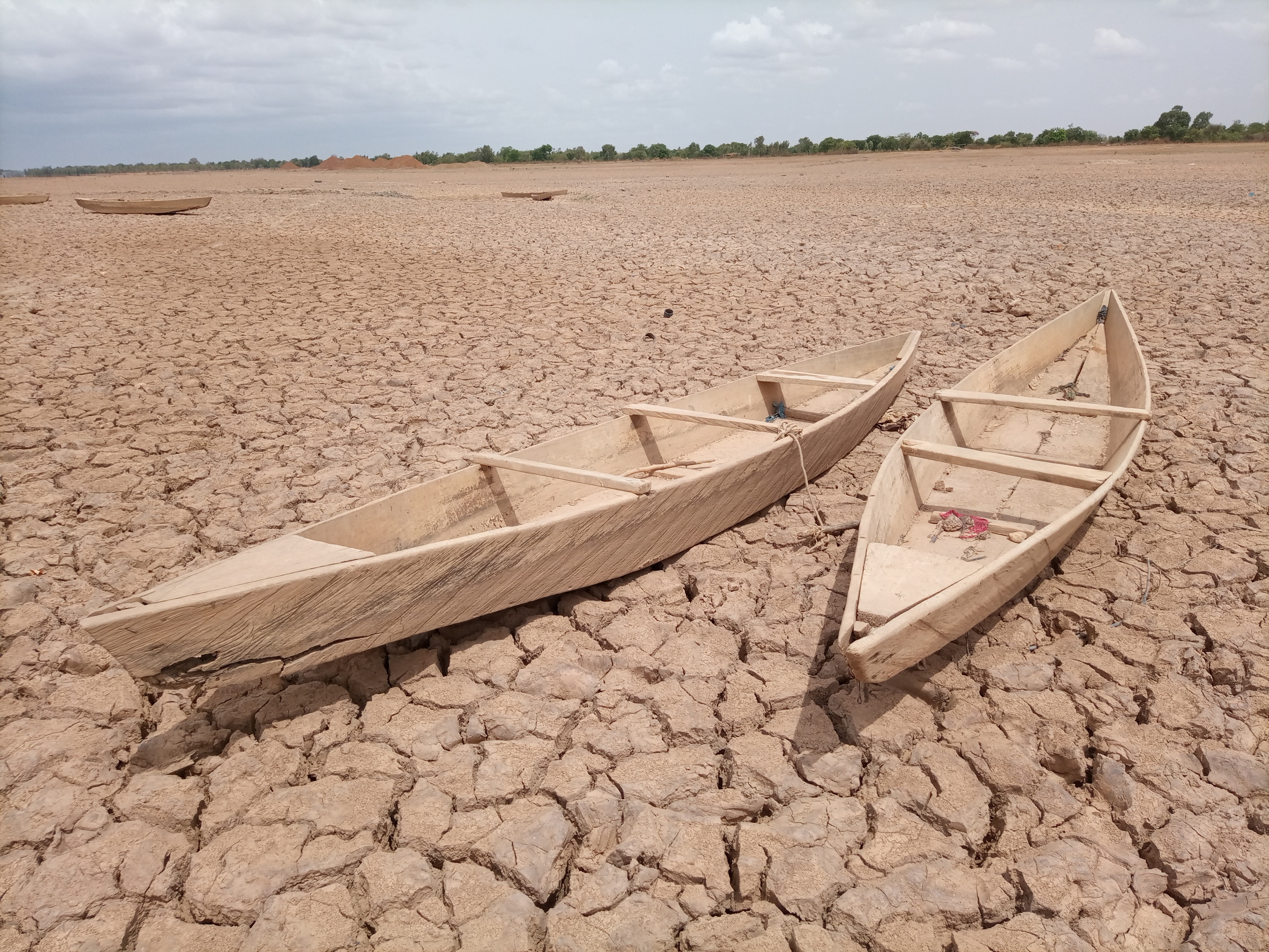 Shifting Climate Zones: Sahel might get 50 % more rain by 2040