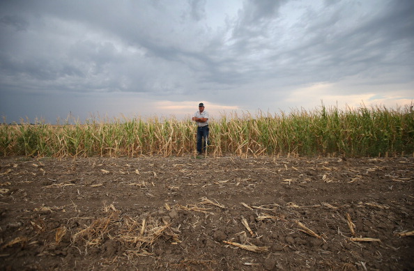 Summer storm weakening leads to more persistent heat extremes