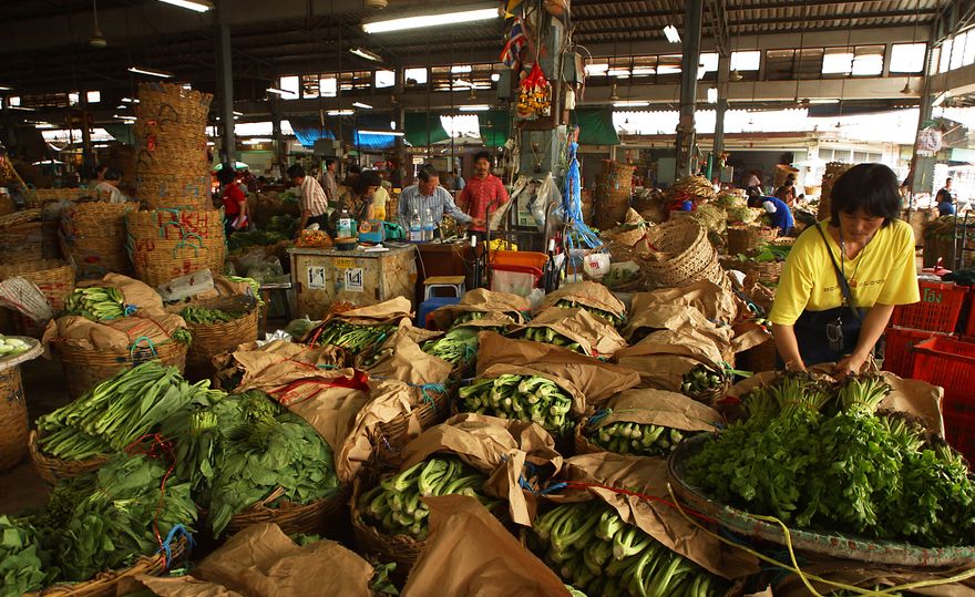 Sustainable and healthy food to feed the world in 2050: Nature study