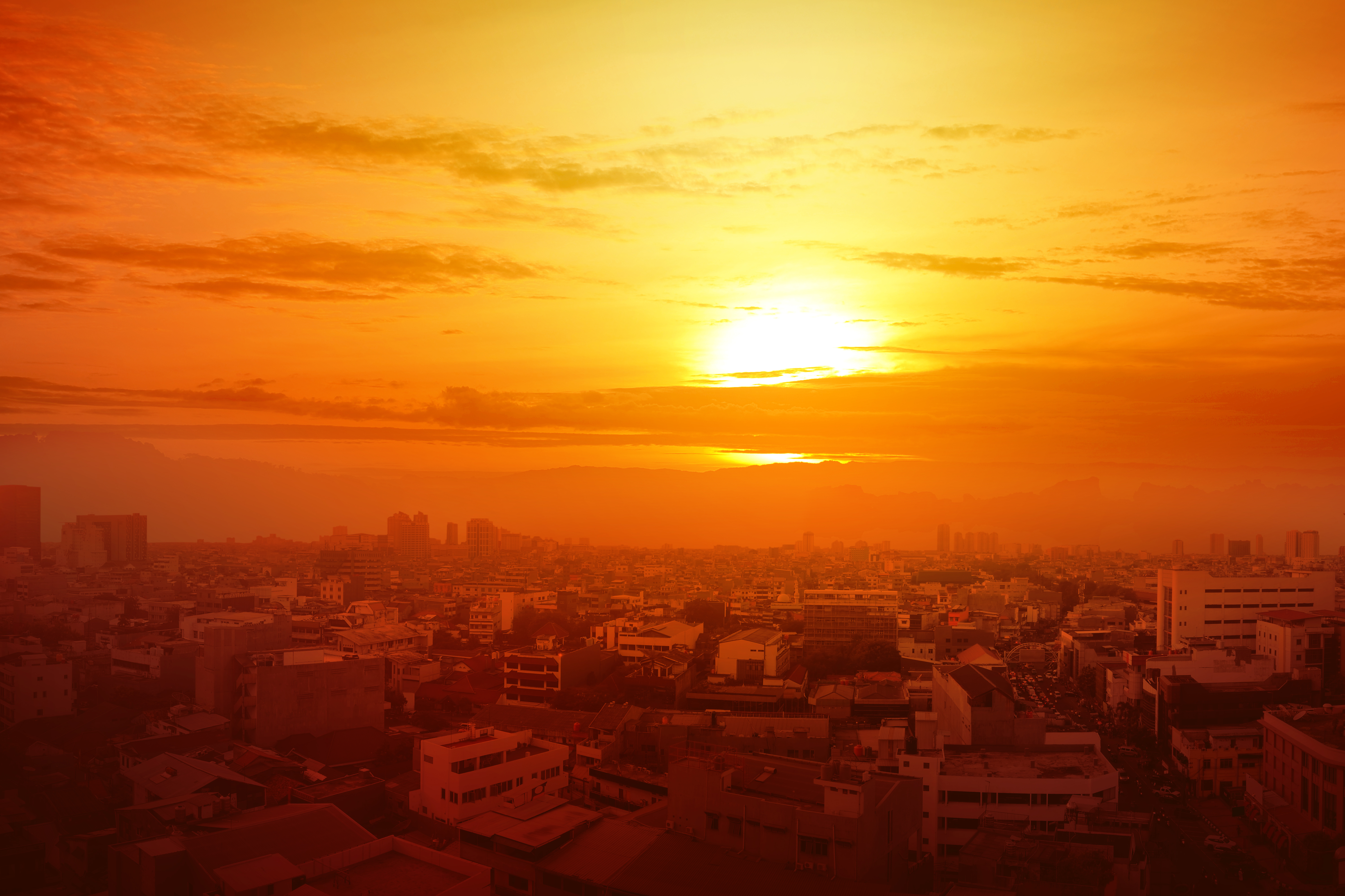 The current heat wave: a climate science perspective