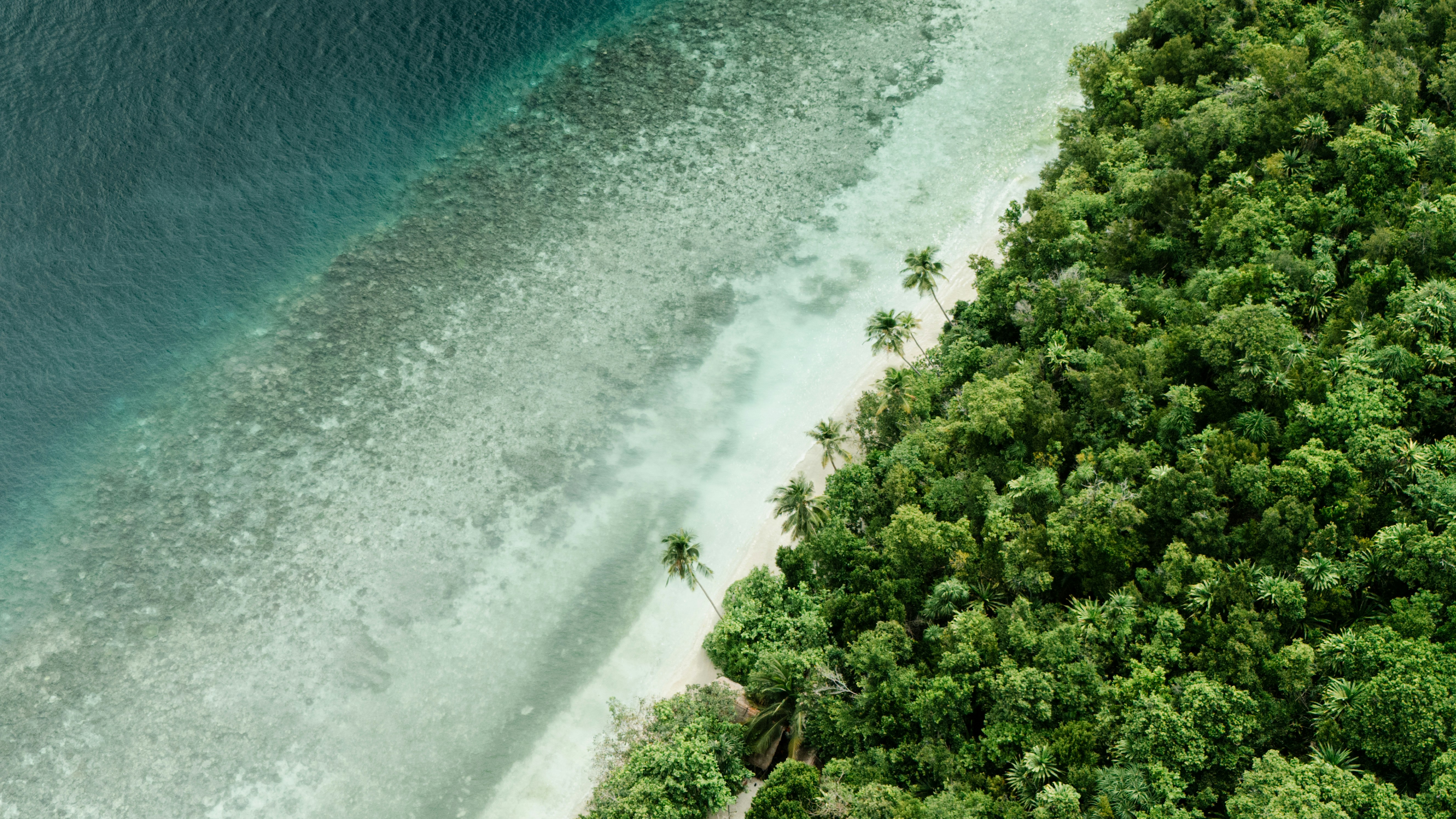 Warming coastal waters primary driver of large-scale humid heatwaves