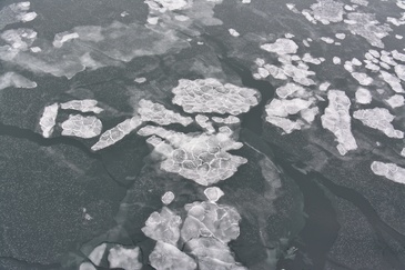Pancake ice will later form larger ice floes. ©Winkelmann/Reese