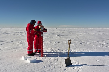 Using a tubular drill to bore through the ice floe from its surface to its base. A core of about 10 cm diameter is retrieved. ©Winkelmann/Reese