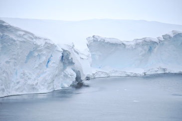 Calving front of Ronne Ice Shelf in Antarctica. ©Reese/Winkelmann