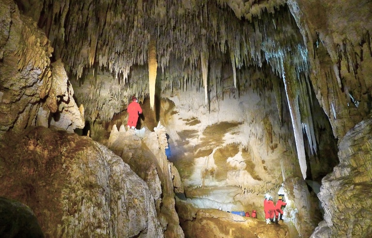 Waipuna Cave 2019