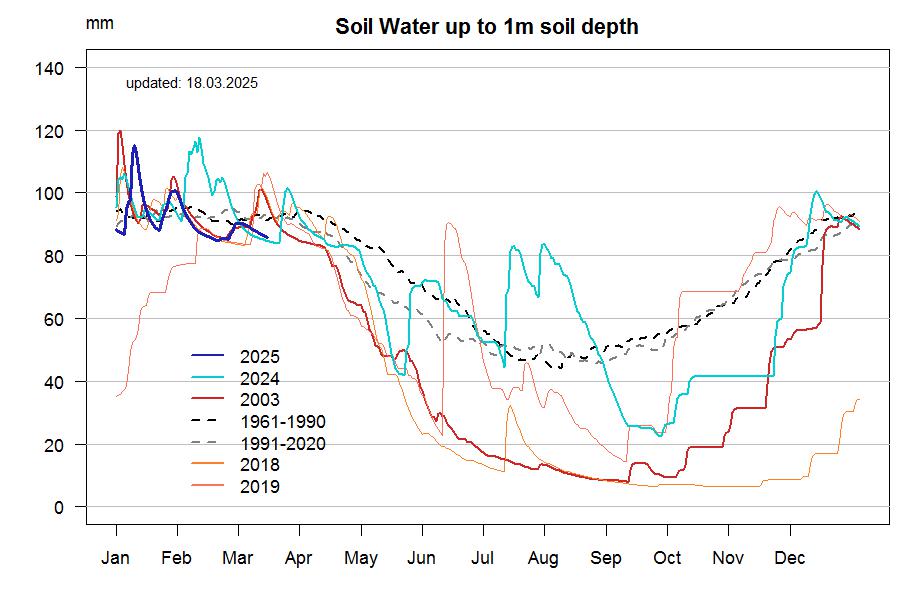 soil water