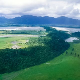 The Waiho Loop moraine in New Zealand, remnant of a cold spell near the end of the last Ice Age (Foto: SR)